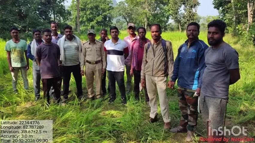 करतला: कोरबा के जंगल में बड़ी हलचल, हाथियों के दल के बीच नन्हे मेहमान का जन्म, वन विभाग हुआ अलर्ट