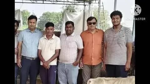 हिण्डौन: दशहरा पर्व पर श्वेतांबर पल्लीवाल नवयुवक चैरिटेबल ट्रस्ट ने शहर में गायों को हरी सब्जी, चारा और गुड़ खिलाकर की गौ सेवा