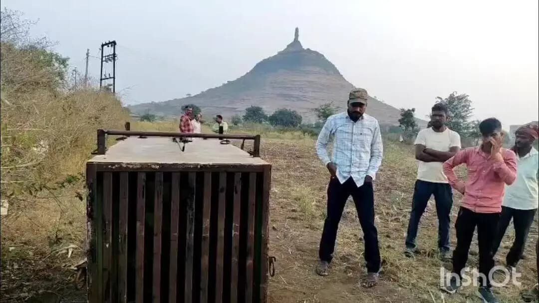चांदवड: कातरवाडी परिसरात वन विभागाकडून लावण्यात आलेल्या पिंजऱ्यात बिबट्या जेरबंद