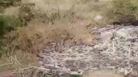 सिरोही: ट्रैक्टर पलटने के बाद लगी भीषण आग, चालक की मौके पर हुई मौत