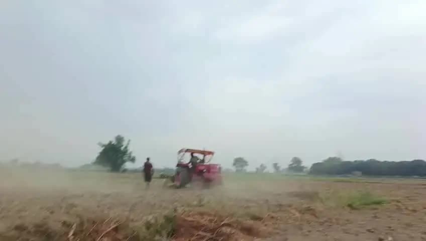 कासगंज: कासगंज में किसान केवल सिंह ने 4 बीघा सरसों की फसल ट्रैक्टर से उजाड़ने का आरोप लगाया, पड़ोसी के खिलाफ पुलिस से की शिकायत