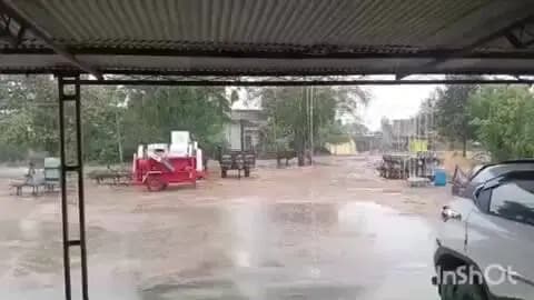 सरदारपुर: ग्राम भरावदा में अचानक तेज बारिश, सूखे के आसार के बीच बारिश से मिली राहत, मौसम हुआ सुहाना।