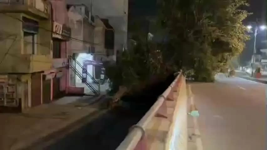 धनौरा: गजरौला में खनन से लदी ट्रैक्टर-ट्रॉली ने पेड़ में मारी टक्कर, फ्लाईओवर पर गिरा पेड़, कार का हिस्सा दबा