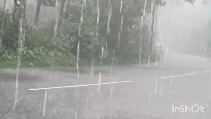 കോട്ടയം: അതിശക്തമായ മഴയ്ക്ക് സാധ്യത, കോട്ടയം ജില്ലയിൽ ഓറഞ്ച് അലർട്ട് പ്രഖ്യാപിച്ചു