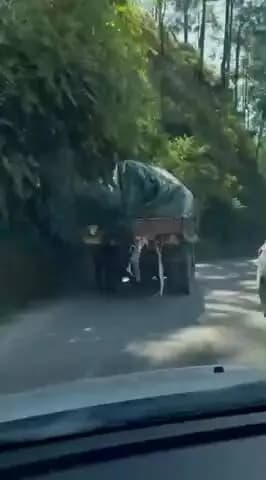नैनीताल: नगर पालिका के कूड़ा वहन से नैनीताल हल्द्वानी रोड पर बिखरते कूड़े पर व्यापार मंडल अध्यक्ष पुनीत टंडन ने जताई नाराजगी
