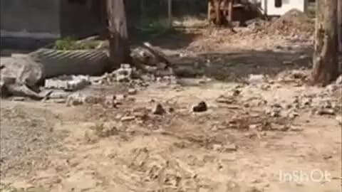 सिकंदराराऊ: सिकंदरा राऊ कस्बे में पालिका द्वारा लगवाए जा रहे 15 दिवसीय मेले को नहीं मिली NOC, तैयारियों पर लगी रोक