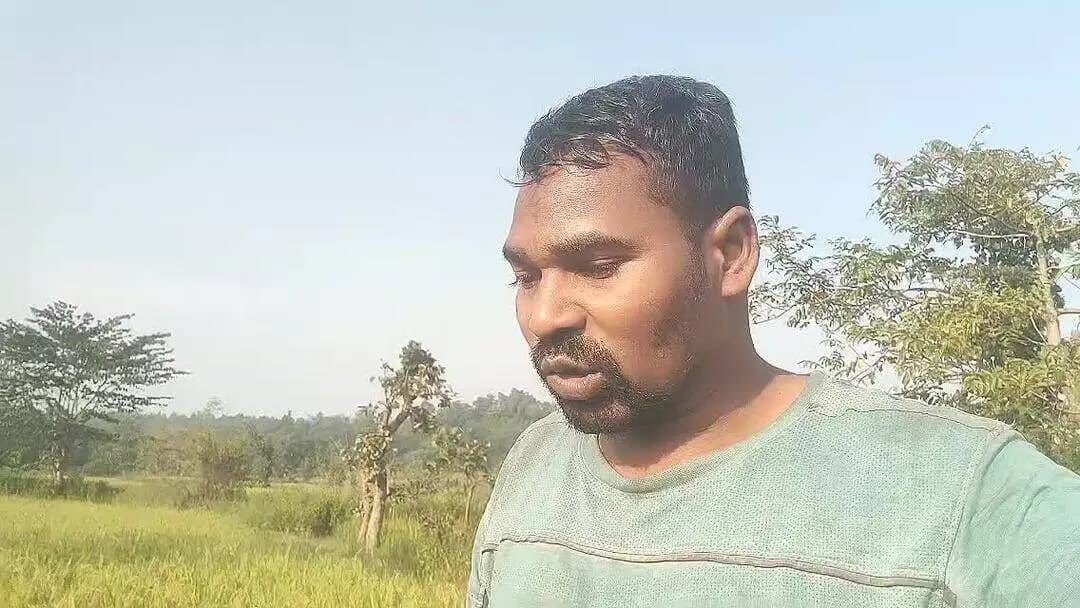 झारखंड में पश्चिमी सिंहभूम के अलावा कई अन्य जगहों पर भी खेती का अच्छी परिणाम इस वर्ष