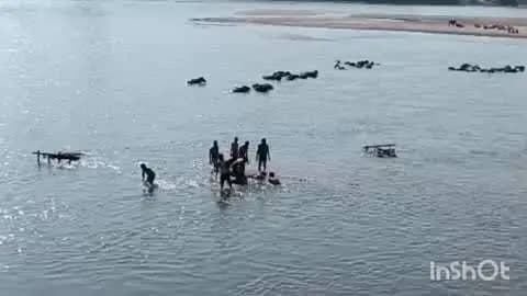 ब्यौहारी: पोड़ी सोन नदी घाट पर 40 दुर्गा प्रतिमाओं का विसर्जन, पुलिस रही मुस्तैद