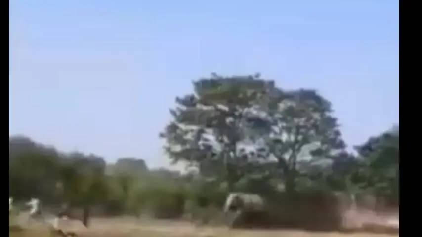 लोहरदगा: लोहरदगा में हाथियों के दौड़ने का वीडियो वायरल, पूर्व सैनिक डॉक्टर टी साहू ने ग्रामीणों को किया सतर्क