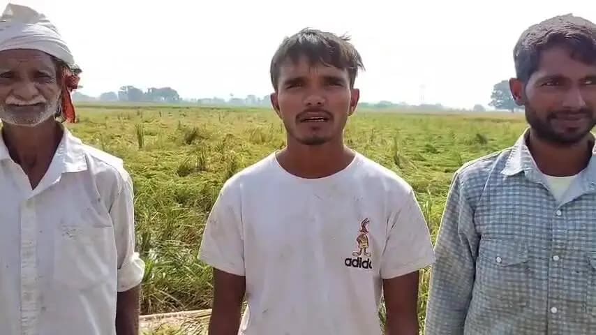 बिधूना: ऐरवाकटरा क्षेत्र के नगला पहाड़ी गांव में जल भराव के कारण धान की फसल हो रही बर्बाद, गांव के लोगों ने दी जानकारी