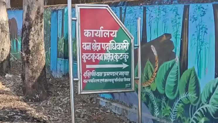 भंडरिया: भंडरिया वन क्षेत्र के जंगल में पांच से छह हाथियों का झुंड, ग्रामीणों को सतर्क रहने की अपील