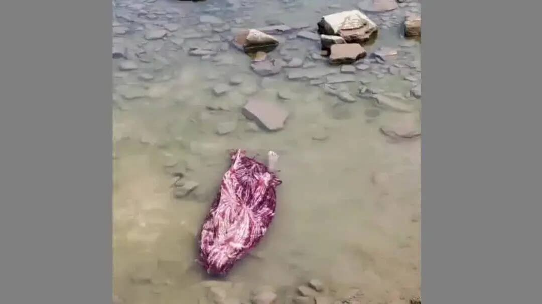 खंडवा: ओंकारेश्वर में दर्दनाक हादसा: नर्मदा में नहाने उतरा मजदूर, नहीं लौटा जिंदा