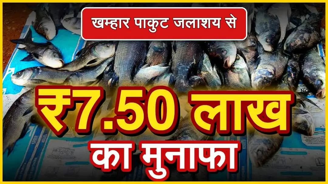 लैलूंगा: खम्हार पाकुट जलाशय से 7 लाख 50 हजार रुपये का मुनाफा, 52 आदिवासी परिवारों को मिला आर्थिक सहारा
