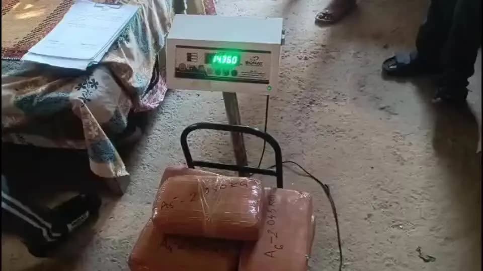 নগাঁও: অবৈধ গাঞ্জাৰ বিৰুদ্ধে ৰহা আৰক্ষীৰ সফল অভিযান, এজনক আটক