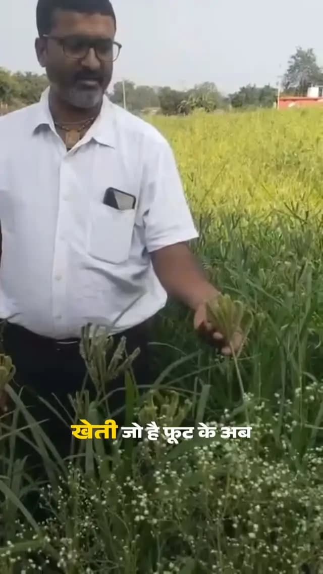 सुशासन में किसानों को मिल रहा आर्थिक संबल!
मुख्यमंत्री श्री विष्णु देव साय के नेतृत्व में किसान दिनेश यादव ने धान के विकल्प के रूप में एक एकड़ में रागी की खेती अपनाई।
कृषक उन्नति योजना के तहत मिलेंगे ₹10,000 की प्रोत्साहन राशि।
फसल विविधीकरण से समृद्धि की ओर बढ़ते किसान!
#कृषक_उन्नति_योजना #प्राकृतिक_खेती #सुशासन #CGKisan
@chhattisgarhcmo @dpr.chhattisgarh @agrigoi