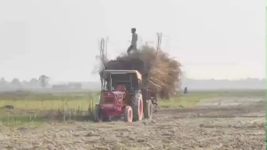 धनौरा: तिगरी गंगा मेले की तैयारियां तेज, जगह तलाशने में जुटे लोग, कार्तिक पूर्णिमा पर 35 से 40 लाख श्रद्धालुओं के गंगा स्नान