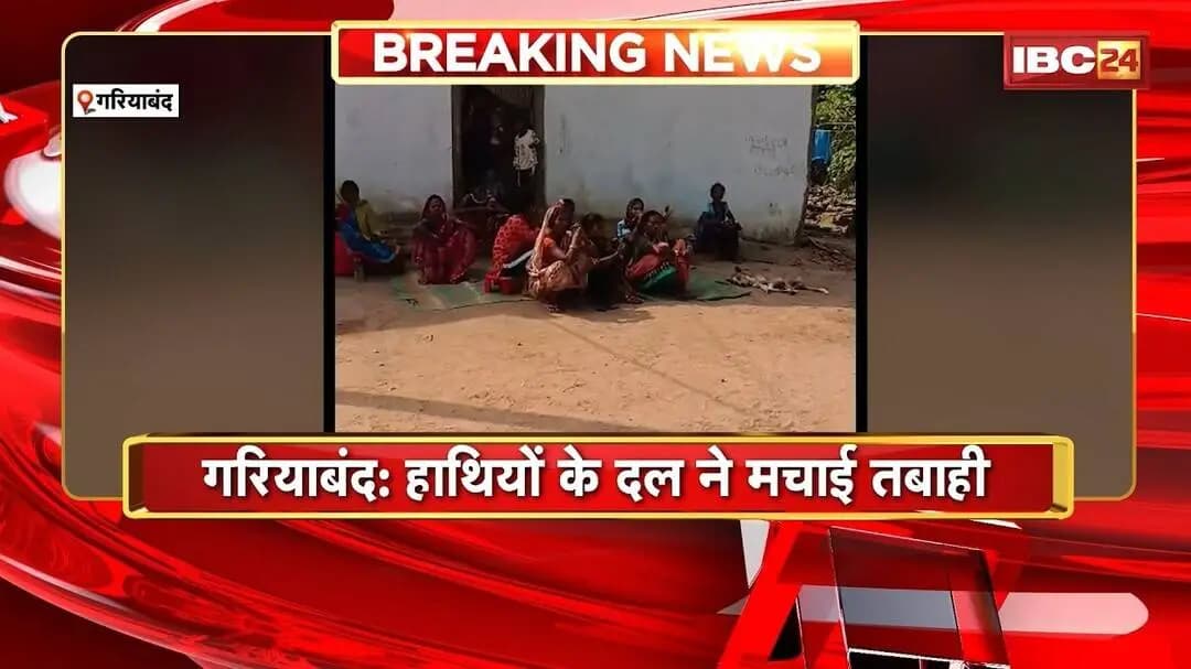 Gariyaband Elephant News: हाथियों के दल ने मचाई तबाही। ग्रामीणों की फसलों को रौंदा