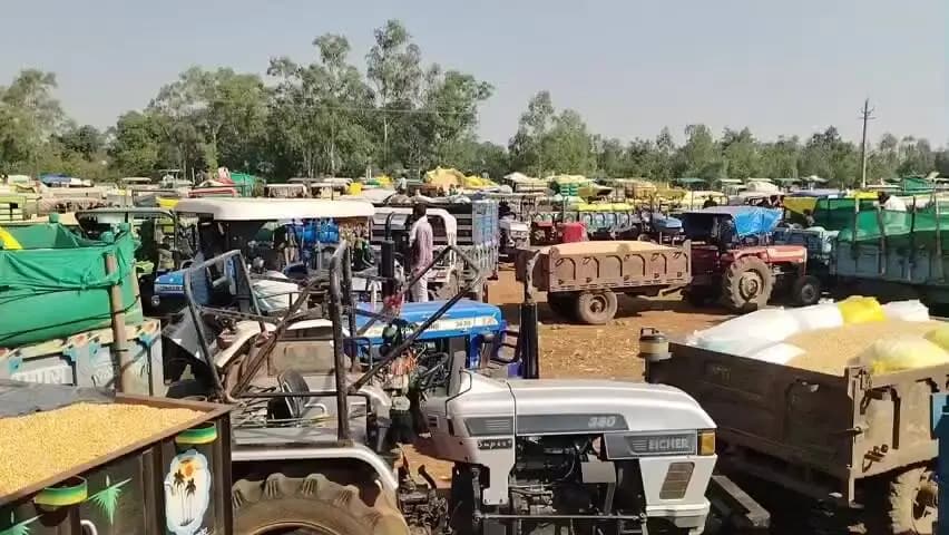 लटेरी: कृषि उपज मंडी लगातार तीन दिन रहेंगी बंद, किसान उपज लेकर न आएं