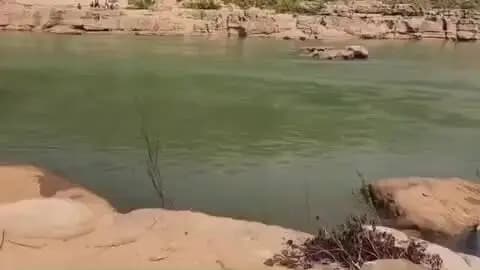 ओडगी: सूरजपुर जिले के ओड़गी में रेड नदी पार करते वक्त ग्रामीण बहा, खोजबीन जारी