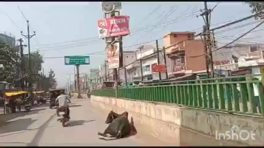 रायपुर: चुनाव से पहले बिरगांव की वोटर लिस्ट में बड़ी गड़बड़ी, महिला को पुरुष और पुरुष को महिला बताया गया