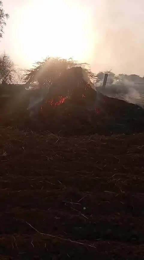 चाकसू क्षेत्र के माधोसिंहपुरा गांव में खेत की मेड़ पर अचानक भीषण आग लगने से अफरा-तफरी मच गई। आग ने किसान मधु कुमार रेगर