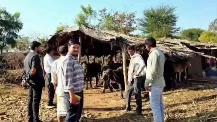 आगर: डोंगरगांव और तनोड़िया में होगी दुग्ध उत्पादन प्रतियोगिता, विजेताओं को मिलेंगे 1 लाख रुपये तक