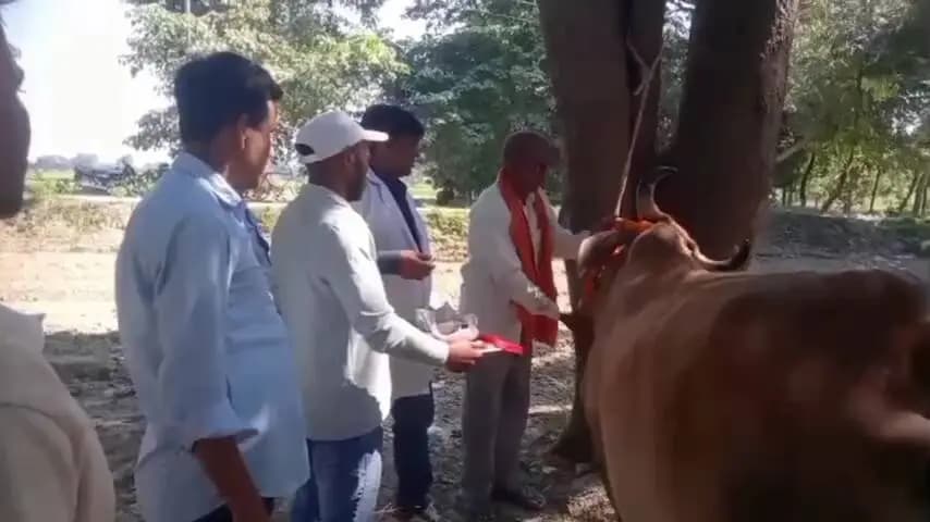 बांसडीह: कुसौरी कला ग्राम सभा में पंडित दिन दयाल उपाध्याय के नाम पर एक दिवसीय पशु आरोग्य शिविर का आयोजन किया गया