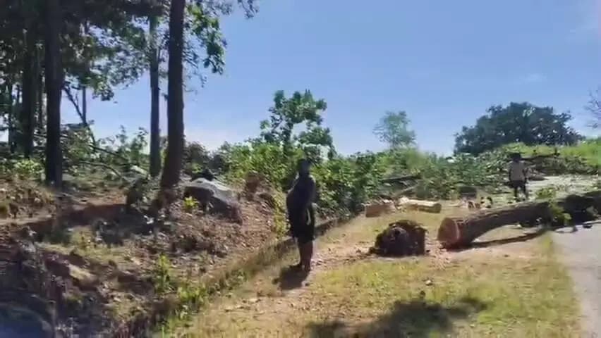 जशपुर: मुख्यमंत्री विष्णुदेव साय की पहल से कुनकुरी में 400 केवी बिजली उपकेंद्र का निर्माण शुरू, 312 पेड़ों की कटाई की गई