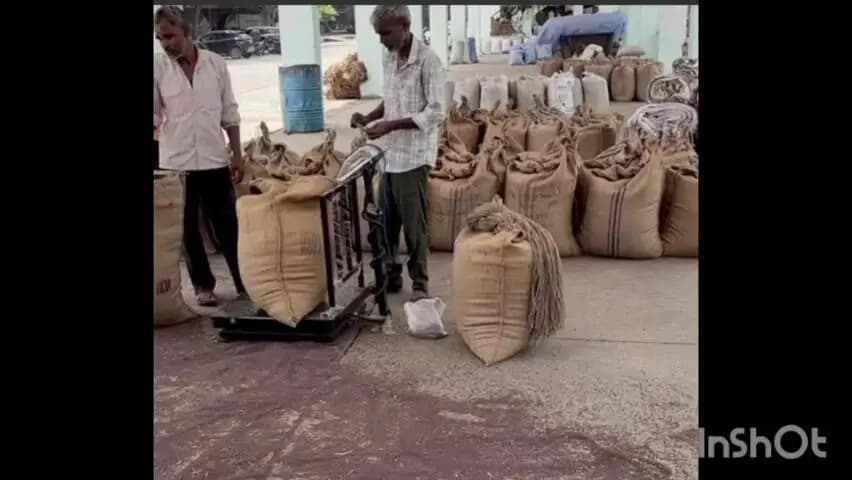 लक्ष्मणगढ़: सरसों के MSP में ₹413 की बढ़ोतरी, भाव 10,000 रुपये तक पहुंचा, रकबा बढ़ने के आसार