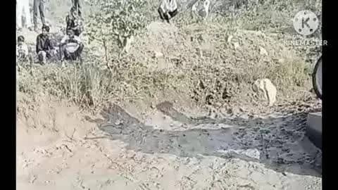 महरौनी: ग्राम गुमची बम्हौरी घाट के पास नहर में विशालकाय मगरमच्छ दिखने से हड़कंप, मौके पर पहुंची वन विभाग की टीम