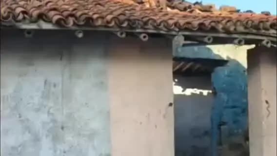 परिहार: सहजौली में सीताराम राय के घर में लगी आग, घर जलकर राख