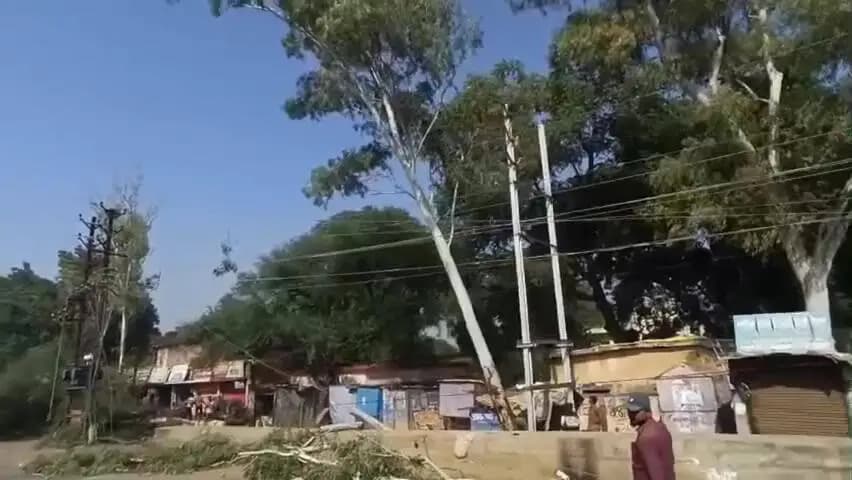 शाजापुर: हाईवे निर्माण के लिए पेड़ काटे, गुमटियां टूटीं; संचालकों का आरोप: बिना सूचना नुकसान, बिजली ठप