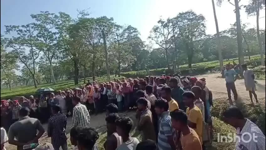 পূব ডিব্ৰুগড়: লেপেটকটাৰ ঘূৰণীয়া চাহ বাগিছাৰ বিভিন্ন সমস্যাৰ সমাধানৰ দাবীত তীব্ৰ প্ৰতিবাদ সাব্যস্ত কৰে চাহ শ্ৰমিকে