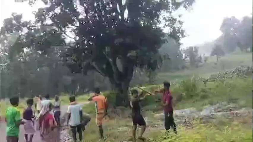 मनोरा: भांटा पाठ में पशु चराने को लेकर दो पक्षों में हुई मारपीट, घटना का वीडियो सोशल मीडिया पर वायरल