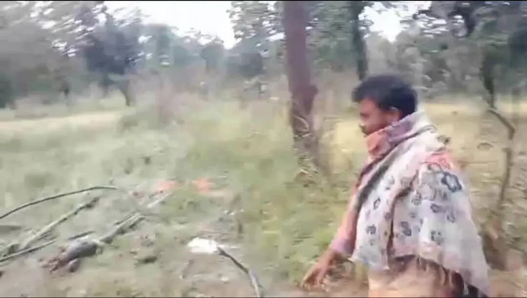 मरवाही: मरवाही वन परिक्षेत्र में 53 हाथियों की मौजूदगी, किसानों की फसल और मकान को पहुंचाया नुकसान