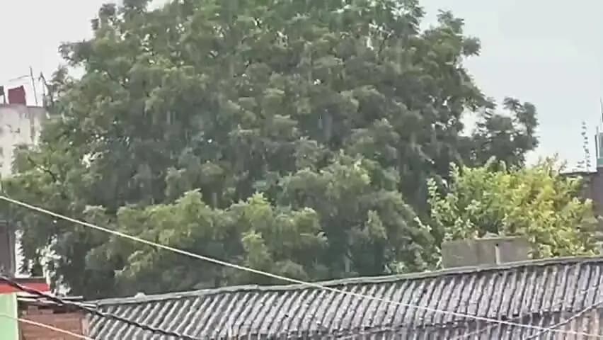 पटना ग्रामीण: अर्नब साइक्लोन का असर: बिहार के 33 जिलों में बारिश, मधुबनी-सीतामढ़ी में रेड अलर्ट; वज्रपात की भी आशंका