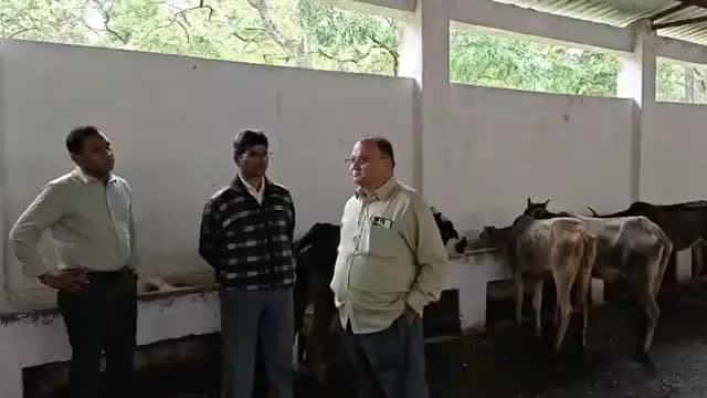 मुख्यमंत्री जन विश्वास अभियान के तहत प्रभारी कलेक्टर एवं सी ई ओ जिला पंचायत अभय सिंह ने ग्राम पंचायत ठूठाकुदरी में गौशाला का निरीक्षण
@CMMadhyaPradesh
@JansamparkMP
#JanVishwasAbhiyan2026
#हर_शुक्रवार_जनता_के_नाम