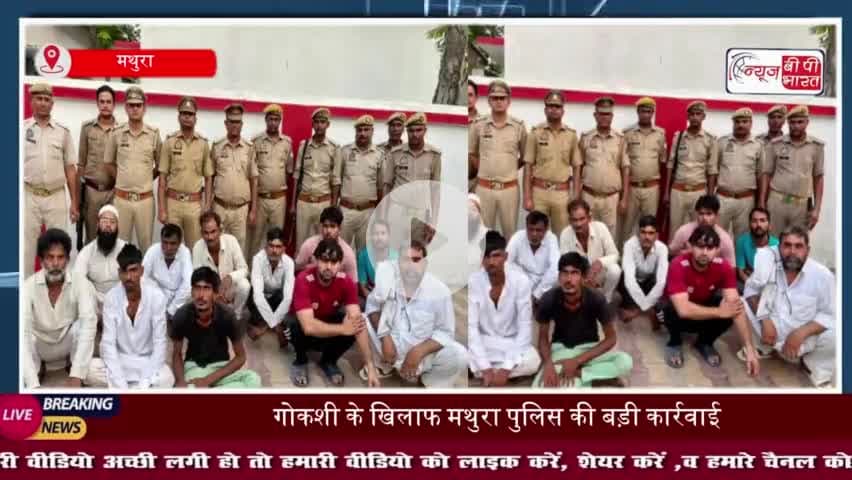मथुरा गोकशी मामला: गोरक्षक की शिकायत पर काफी लोगों के खिलाफ मुकदमा दर्ज,अब तक 11 गिरफ्तार
#मथुरा #गोकशी #मामला #गोरक्षक