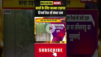 बाघों के लिए कान्हा टाइगर रिजर्व देश में नंबर वन #madhyapradesh #kanhatigerreserve #tiger #zoo #mp