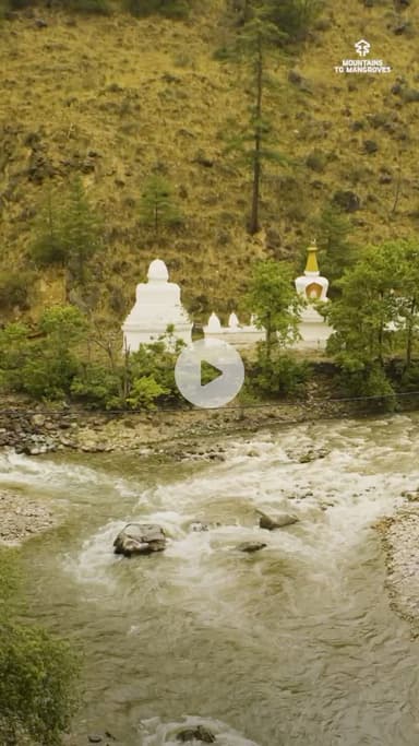 “We thought water was forever until the streams began to vanish.” #mountainstomangroves