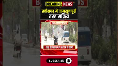 छत्तीसगढ़ में मानसून पूरी तरह सक्रिय #cgnews #cgweather #cgweatherupdate #rainalert #monsoon #rain