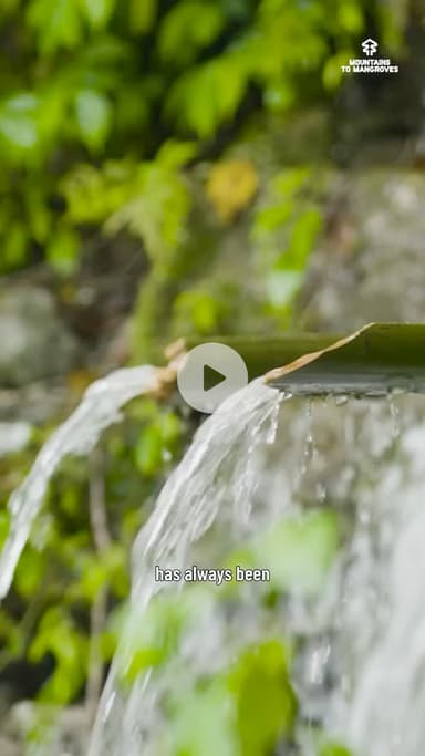 Near Bhutan’s Punatsangchhu River, Tenzin Dorjee & his community are restoring springs #mountainstomangroves