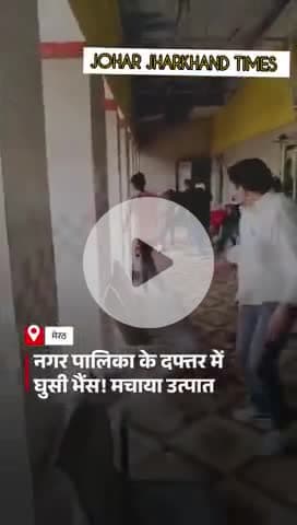 मेरठ के मवाना नगर पालिका #UttarPradesh #meerut #buffalo #Viral #ViralVideo #LatestUpdates#ranchi#bero#bharno