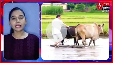 मुख्यमंत्री पुष्कर सिंह धामी ने खेत में की धान रोपाई, किसानों के सम्मान में पेश की मिसाल
#PushkarSinghDhami #uttarakhand #khetibadi