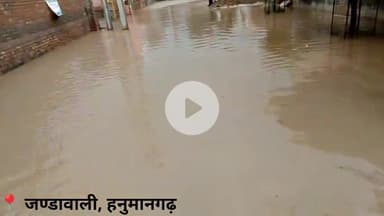 जण्डावाली गांव में जहरीली केली से हाहाकार! ग्रामीणों का दर्द, प्रशासन कब जागेगा?
#Jandawali #Hanumangarh #Rajasthan