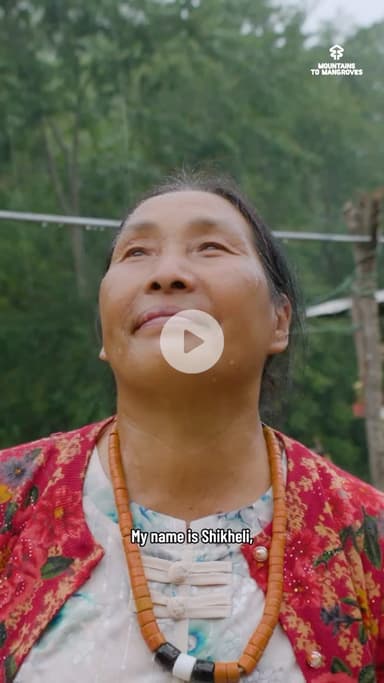From long torchlight walks for water to leading forest restoration in Nagaland #mountainstomangroves