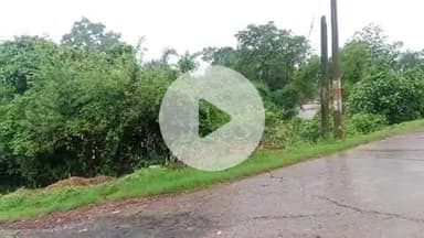 बालाघाट लालबर्रा छेत्र अंतर्गत ग्राम नयाटोला तोंडिया नाला में भारी बाड़ #balaghat#nayatola#waraseoni#lalburra#newargaon