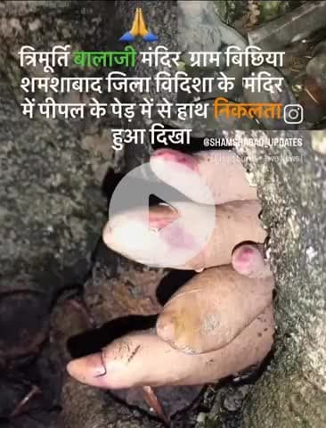 जिला विदिशा के ग्राम बिछिया में त्रिमूर्तिधाम लाजी के दरबार में #पीपल के वृक्ष के नीचे शिवलिंग के हाथ दिखाई दे रहा है