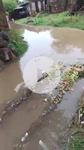 Bhadoli गांव में तेज बारिश के कारण घरों में रोड पर भर पानी