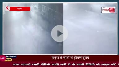 मथुरा में चोरों के हौसले बुलंद, घर के बाहर खड़ी ईको कार उड़ा ले गए बदमाश
#मथुरा #चोरों #घर